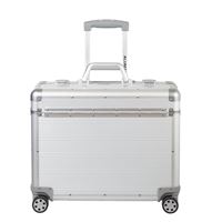 Pilot Case PANDORA silver