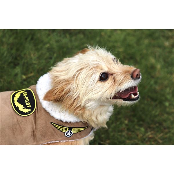 Dog Bomber Jacket, M