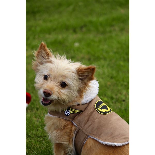 Dog Bomber Jacket, M