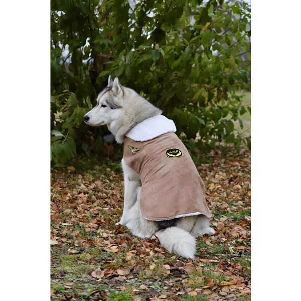 Dog Bomber Jacket, M