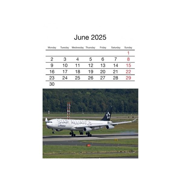 Wide Bodies postcard calendar 2025