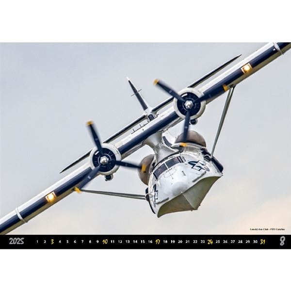 AIRSHOW Wall Calendar 2025