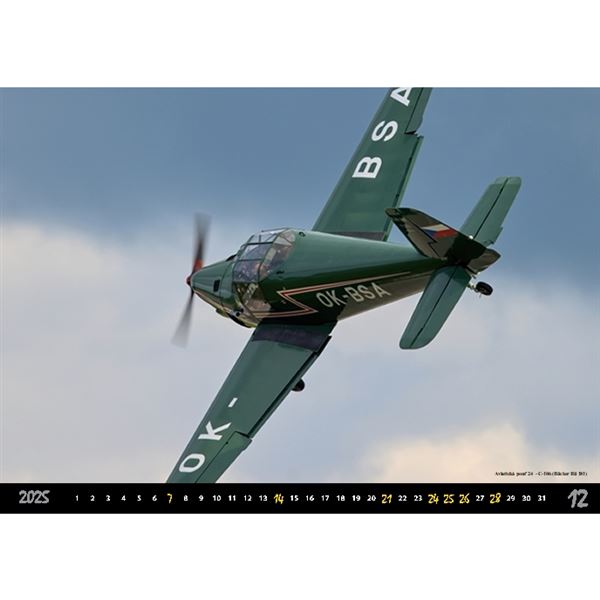 AIRSHOW Wall Calendar 2025