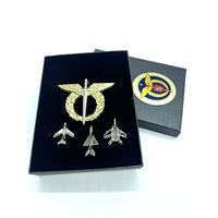 Set of pins Czech Air Force