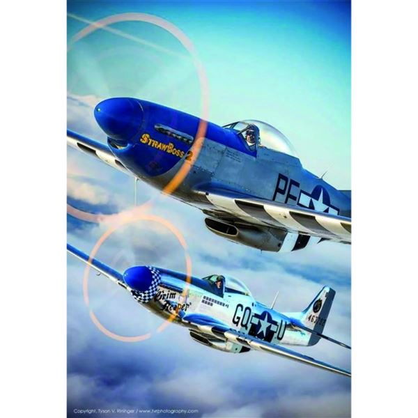 N.A. P-51 D Mustang Retro Poster